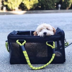 Roverlund Pet Carrier